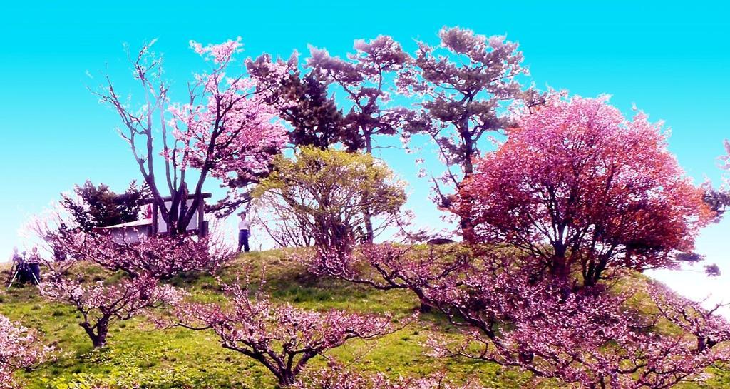 ホテル中の島別館 Sobetsu Esterno foto